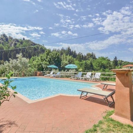 Villa Ari, La Tua Villa In Toscana 레겔로 외부 사진